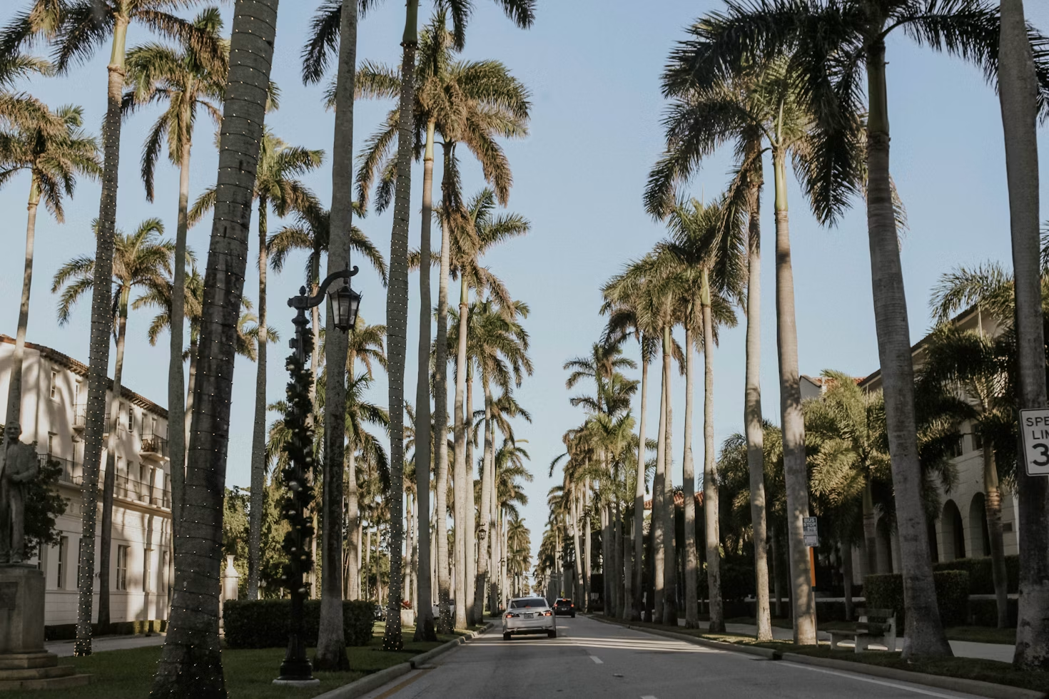 Palm Beach street lined with tall palms and festive lights.