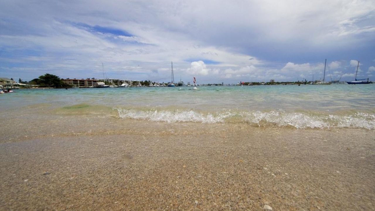 phil-foster-park-snorkeling